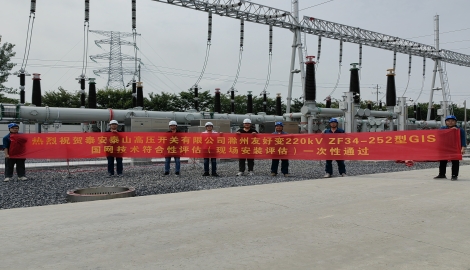 开关公司顺利通过国网220kV GIS设备符合性评估